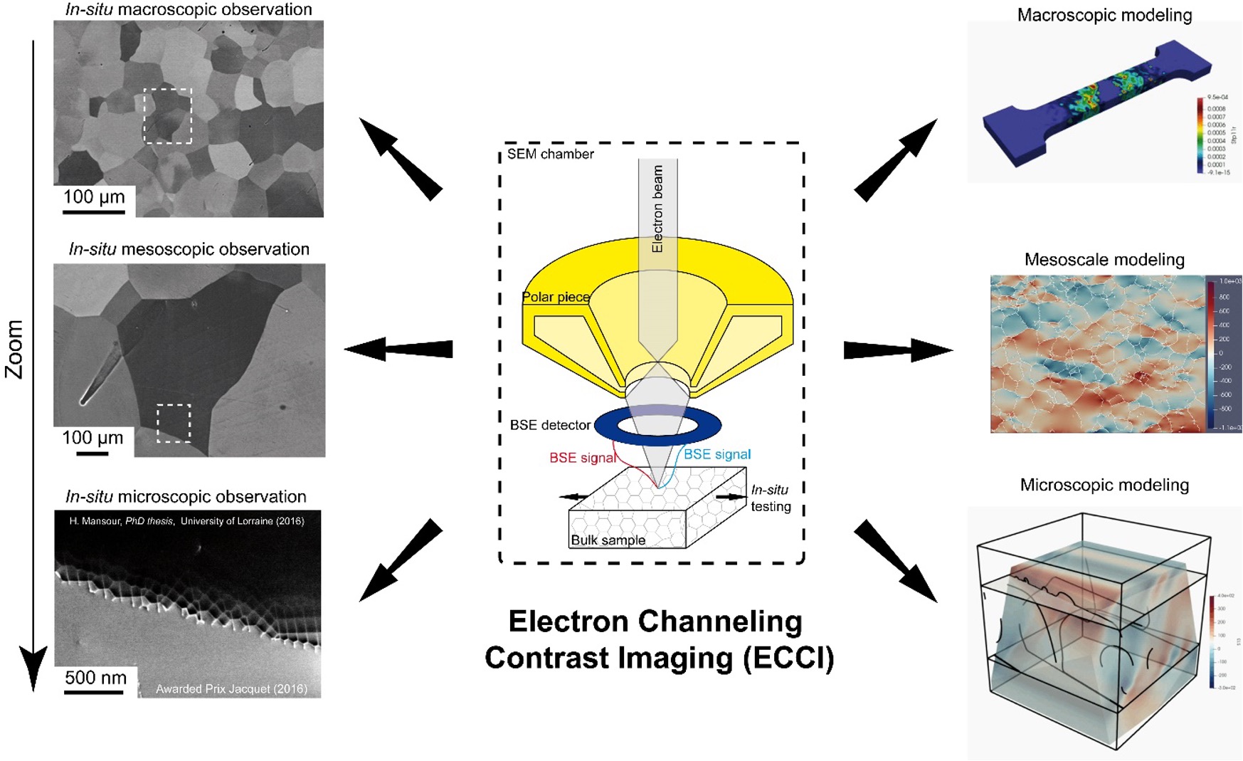 In situ mechanical testing in the SEM